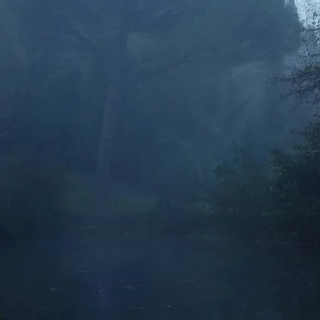 Maison Dans L'entre-deux-mers Semesterbostad